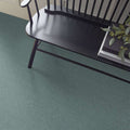 Shaw Floors - Carpet- Foundations Collection - Oceanside