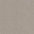 Shaw Floors - Carpet - COMFORTING I - Anonymous