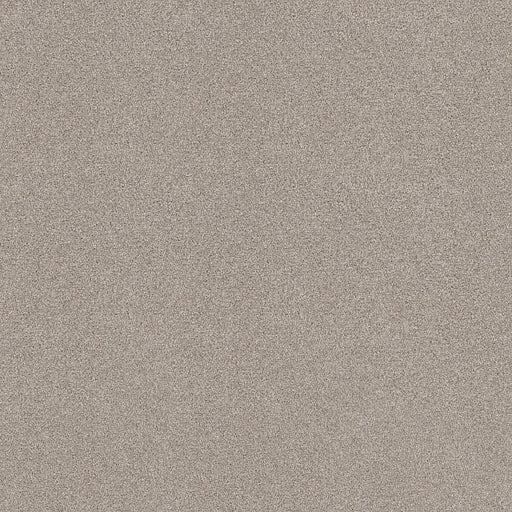 Shaw Floors - Carpet - COMFORTING II - Anonymous