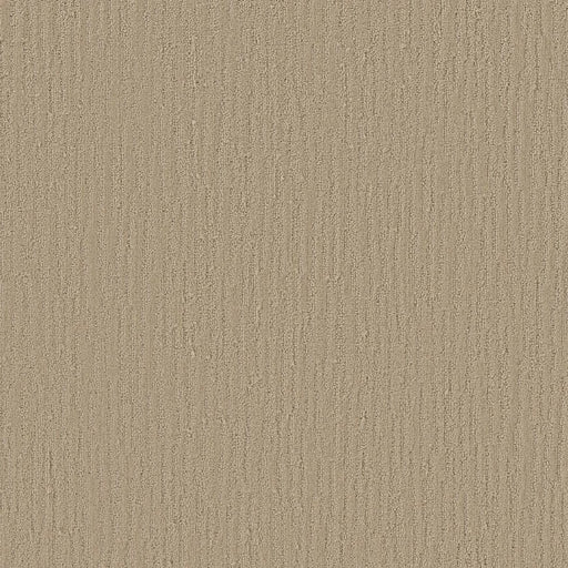 Shaw Floors - Carpet - Simply The Best Collection - Bandon Dunes - Agate