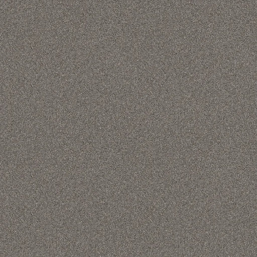 Shaw Floors - Carpet - Simply The Best  - Attainable - Arctic Shadow