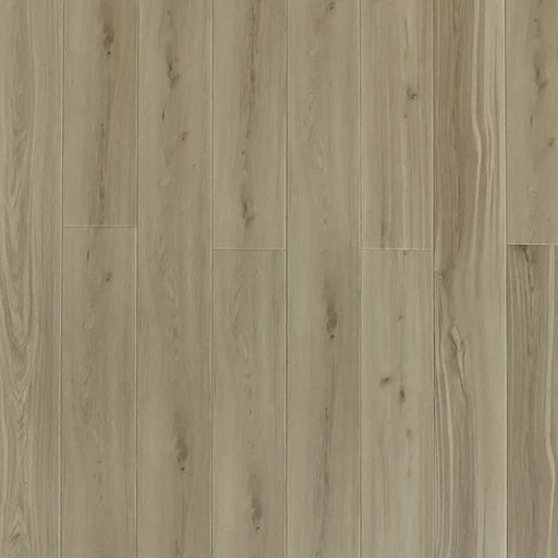 Toucan - SPC909 - American Oak