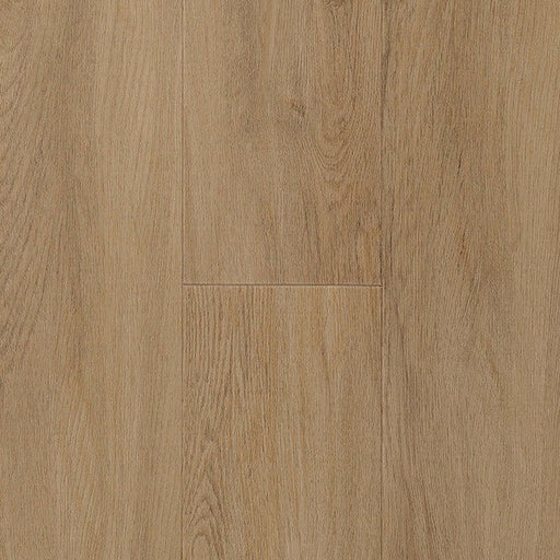TORLYS - Marquee Vinyl - Olympic 2 Collection - Dry Back - Athens Oak