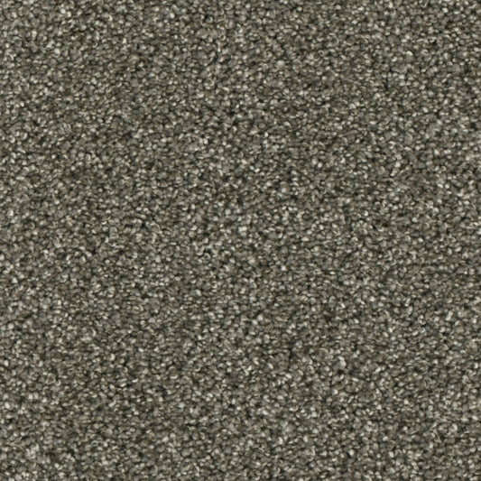 Primco - Estates Carpet - Majesty Collection - Awareness