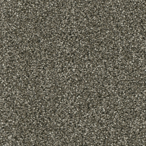 Primco - Estates Carpet - Nobility Collection - Awareness