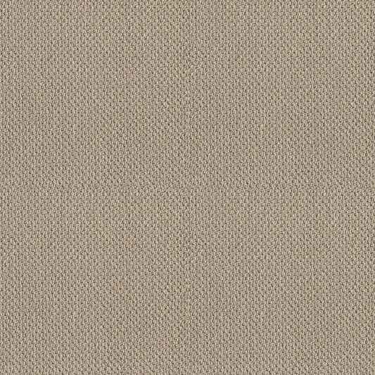 Shaw Floors - Carpet- Foundations Collection - Smart Thinking - Barista