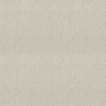 Shaw Floors - Carpet - Simply The Best  - Attainable - Blizzard