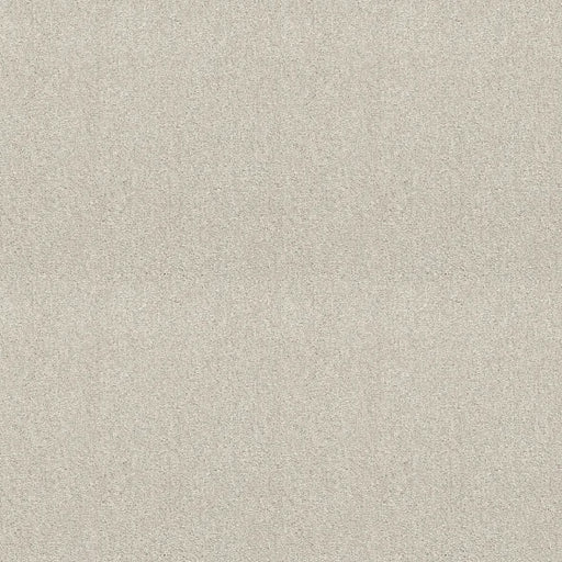 Shaw Floors - Carpet - Simply The Best  - Attainable - Blizzard