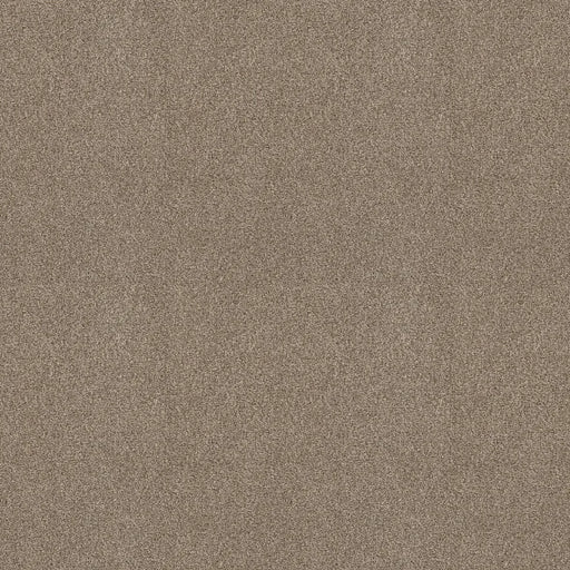 Shaw Floors - Carpet - COMFORTING I - Boardwalk