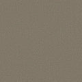Shaw Floors - Carpet - Classics Collection  - Awaken Spirit II - 15' - Bungalow