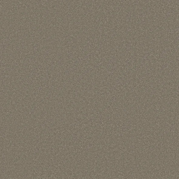 Shaw Floors - Carpet - Classics Collection  - Awaken Spirit II - 15' - Bungalow