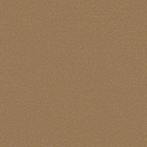 Shaw Floors - Carpet - Classics Collection  - Awaken Spirit II - 12'- Warm Brass