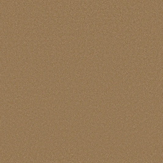 Shaw Floors - Carpet - Classics Collection  - Awaken Spirit II - 15'- Warm Brass