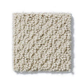 Shaw Floors - Carpet- Foundations Collection - Smart Thinking - Barista