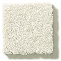 Shaw Floors - Carpet - Simply The Best  - Attainable - Blizzard