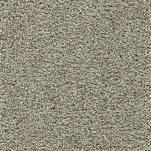Primco - Estates Carpet - Ambassador Collection - Spanish Wood