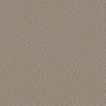 Shaw Floors - Carpet - Simply The Best  - TRUSOLUTIONS III - Beach Cabana