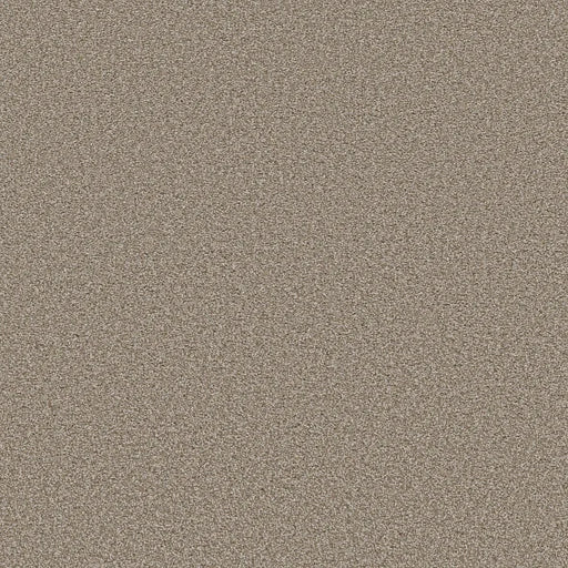 Shaw Floors - Carpet - Simply The Best  - TRUSOLUTIONS III - Beach Cabana