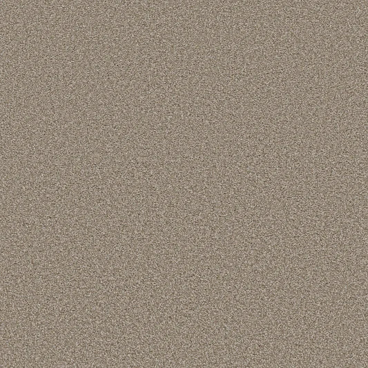 Shaw Floors - Carpet - Simply The Best  - TRUSOLUTIONS III - Beach Cabana