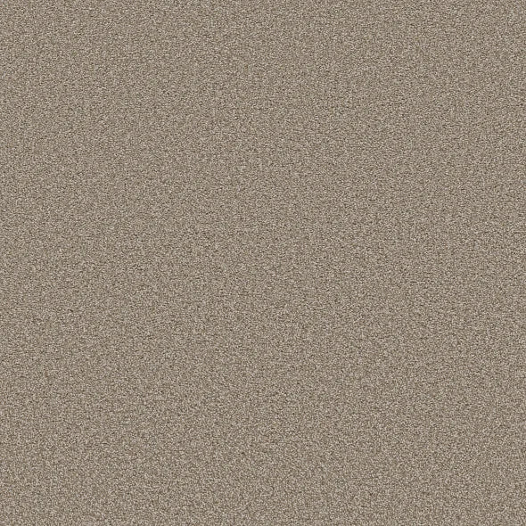 Shaw Floors - Carpet - Simply The Best  - TRUSOLUTIONS III - Beach Cabana