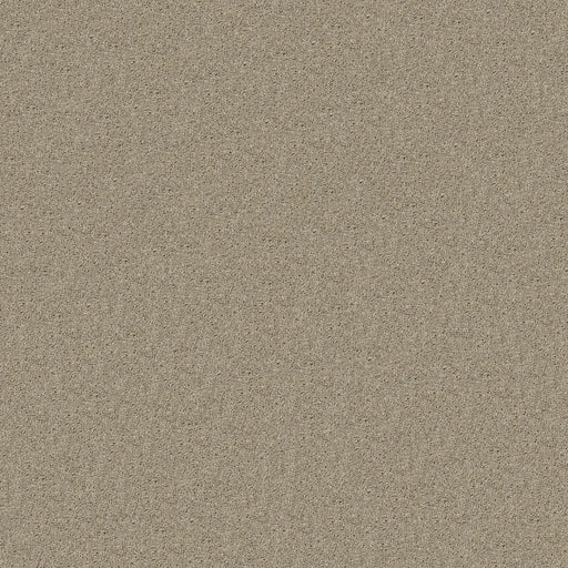 Shaw Floors - Carpet - Full Court 12' - Bare Mineral