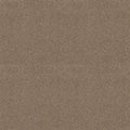 Shaw Floors - Carpet - COMFORTING I - Riverbank