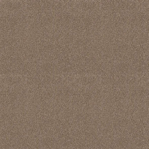 Shaw Floors - Carpet - COMFORTING I - Riverbank