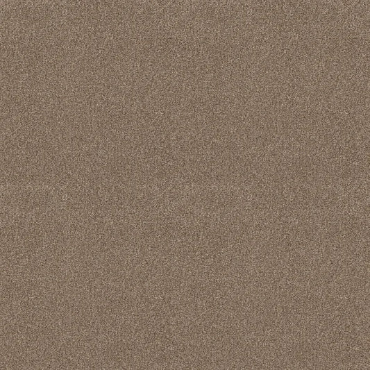 Shaw Floors - Carpet - COMFORTING II - Riverbank