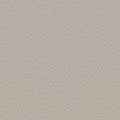 Shaw Floors - Carpet - Foundations Collection  - Alluring Canvas - Baltic Stone