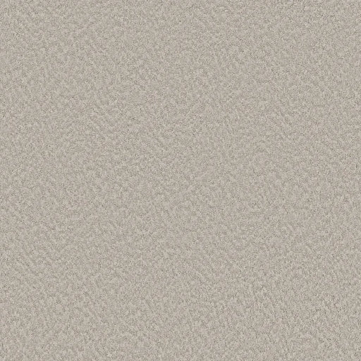 Shaw Floors - Carpet - Foundations Collection  - Alluring Canvas - Baltic Stone