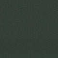 Shaw Floors - Carpet - Classics Collection  - Awaken Spirit II - 12' - Blue Spruce