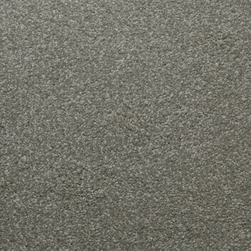 Primco - Estates Carpet - Tender Collection - Balance