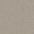 Shaw Floors - Carpet- Foundations Collection - HARMONIOUS II - Baltic Stone