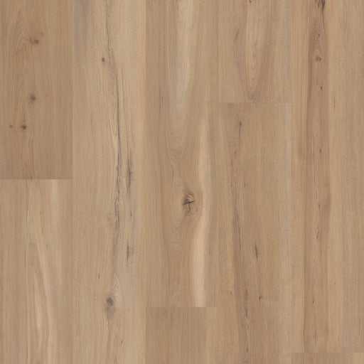 COREtec - CoreTec Premium 9" - Blonde Oak