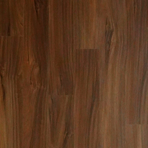 TwelveOaks - SolidCore 5G Collection - Bold Brandy