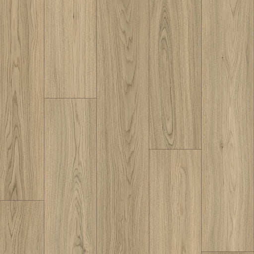 Cyrus Floors - Nautilus Collection - Bowen