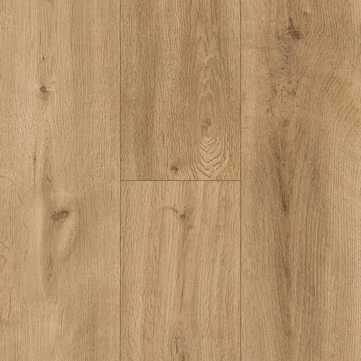 InHaus - Ceramin® - Gallery Collection - Brunswick