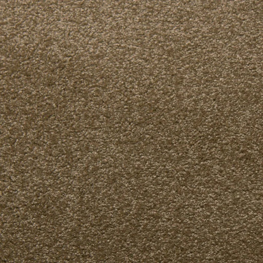 Primco - Estates Carpet - Soft Spoken Collection - Buff