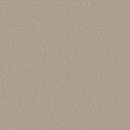 Shaw Floors - Carpet - COMFORTING II - Chamois