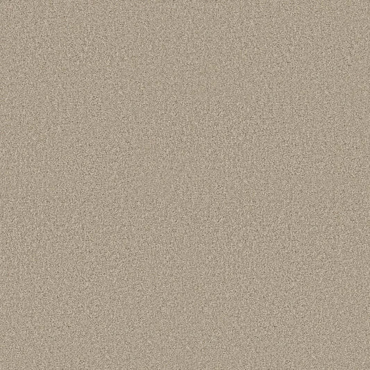 Shaw Floors - Carpet - COMFORTING II - Chamois