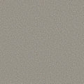 Shaw Floors - Carpet - Simply The Best  - TRUSOLUTIONS III - Concrete