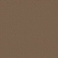 Shaw Floors - Carpet - Classics Collection  - Awaken Spirit I 12' - Copperglaze