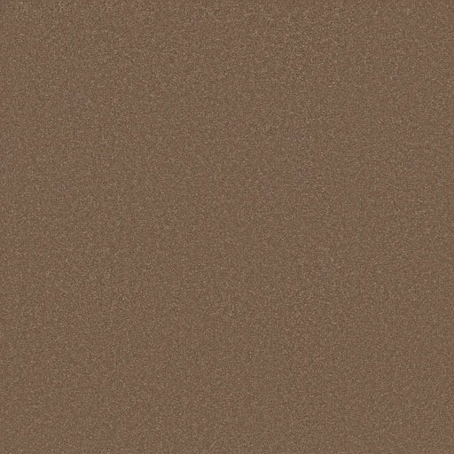 Shaw Floors - Carpet - Classics Collection  - Awaken Spirit I 12' - Copperglaze