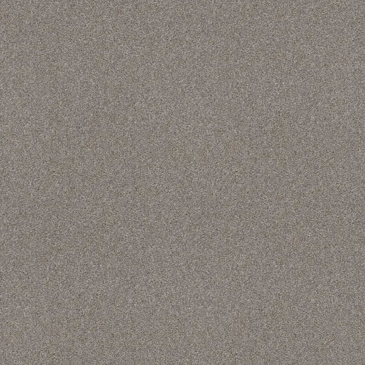 Shaw Floors - Carpet - Simply The Best  - Attainable - Clay