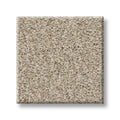 Shaw Floors - Carpet - COMFORTING II - Chamois