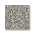 Shaw Floors - Carpet - Simply The Best  - TRUSOLUTIONS III - Concrete