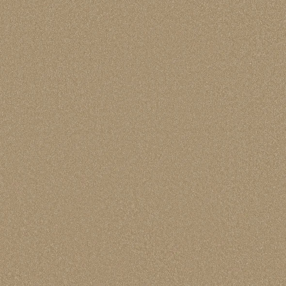 Shaw Floors - Carpet - Classics Collection  - Awaken Spirit I 12' - Classic Buff