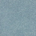 Shaw Floors - Carpet - Full Court 12' - Caribbean Coast