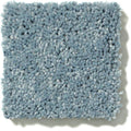 Shaw Floors - Carpet - Full Court 12' - Caribbean Coast