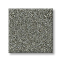 Shaw Floors - Carpet - Simply The Best  - Attainable - Cedar Ridge